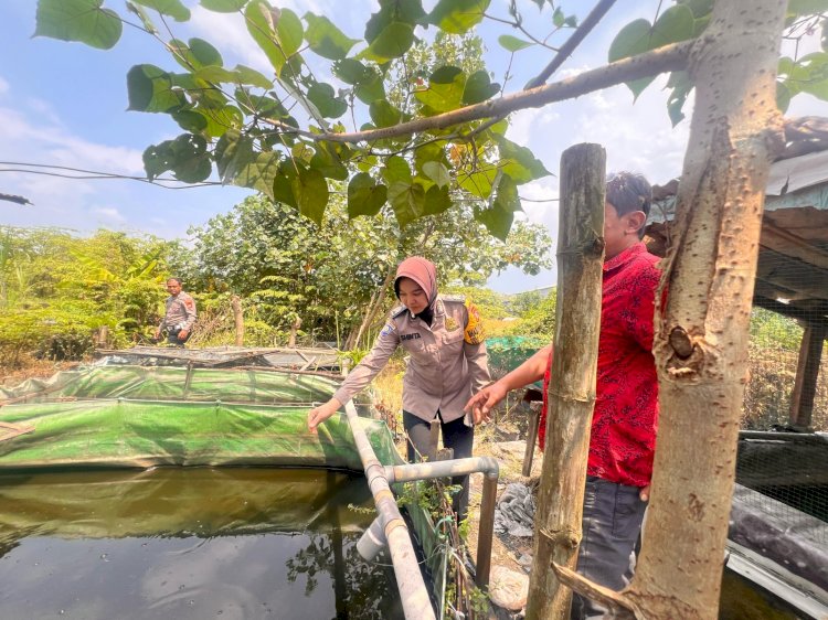 POLRESTA SIDOARJO | Polwan Penggerak Ketahanan Pangan Brigpol Shinta Puspitasari Turun Langsung ke Warga